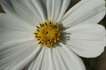DSC03051.jpg